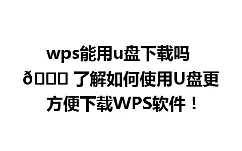 wps能用u盘下载吗 🎉 了解如何使用U盘更方便下载WPS软件！