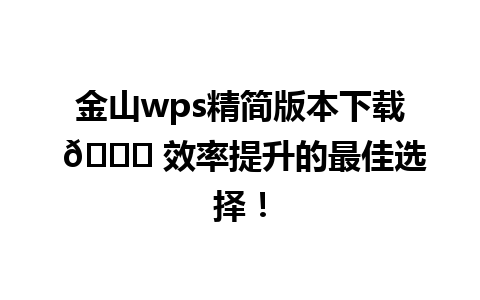 金山wps精简版本下载 🌟 效率提升的最佳选择！