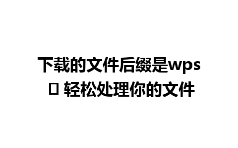 下载的文件后缀是wps ⏬ 轻松处理你的文件