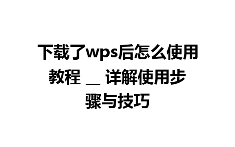 下载了wps后怎么使用教程 __ 详解使用步骤与技巧 