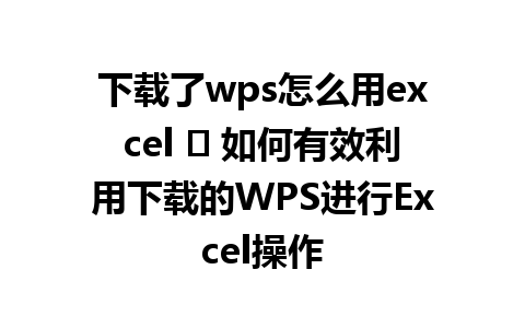 下载了wps怎么用excel ⟶ 如何有效利用下载的WPS进行Excel操作