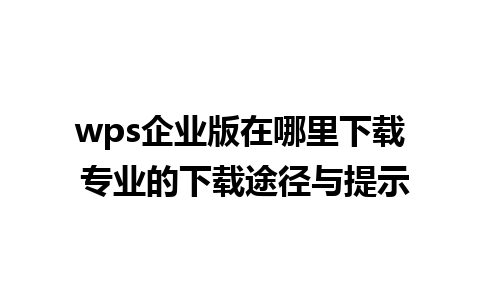 wps企业版在哪里下载 专业的下载途径与提示