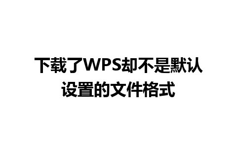 下载了WPS却不是默认设置的文件格式   
